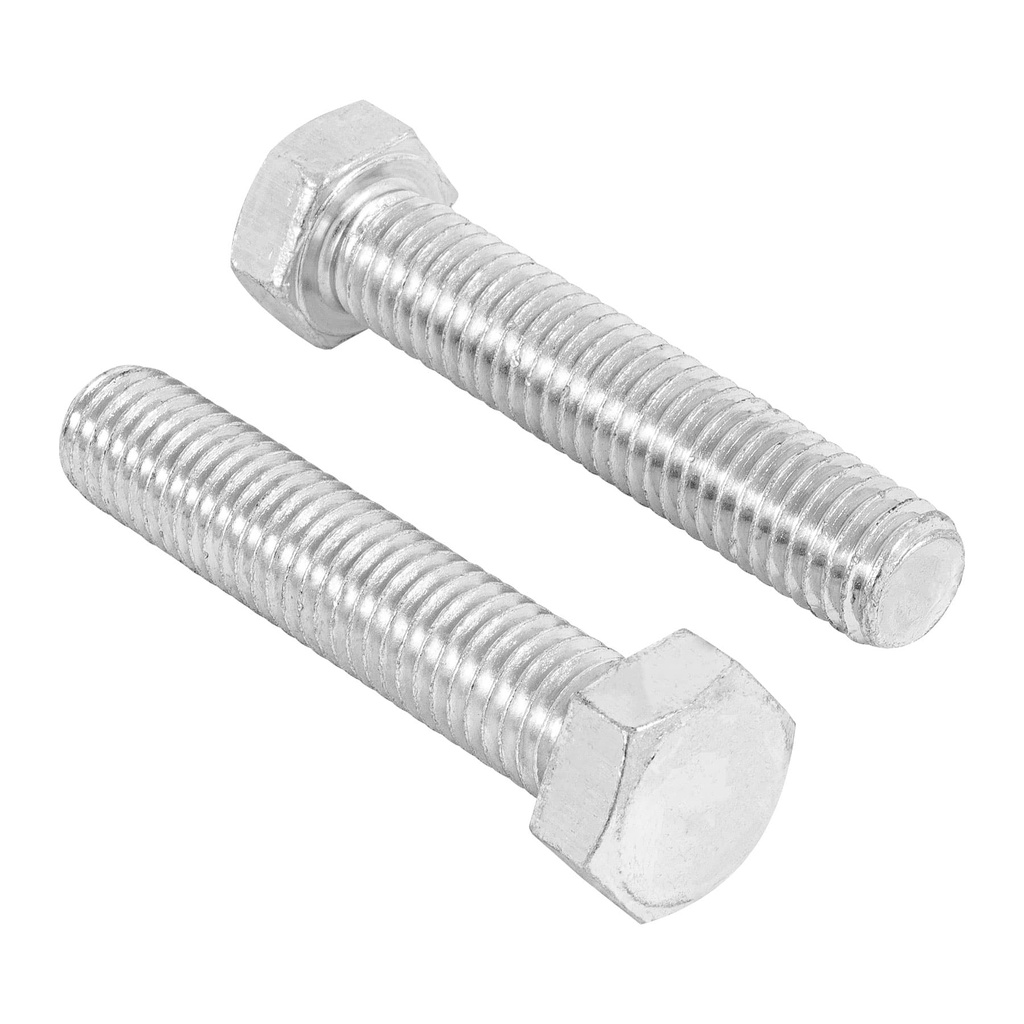 Bolsa con 20 tornillos 1/2' x 2-1/2' tipo maquina, Fiero