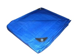 [WF0748] LONA AZUL 5 X 6M