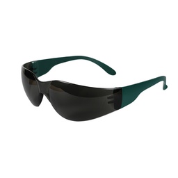 [ECO-1314G] LENTE SENADOR DE POLICARBONATO MICA GRIS.