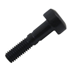 [SA-500-2970] TORNILLO P/PORTAHERRAMIENTA DLS4
